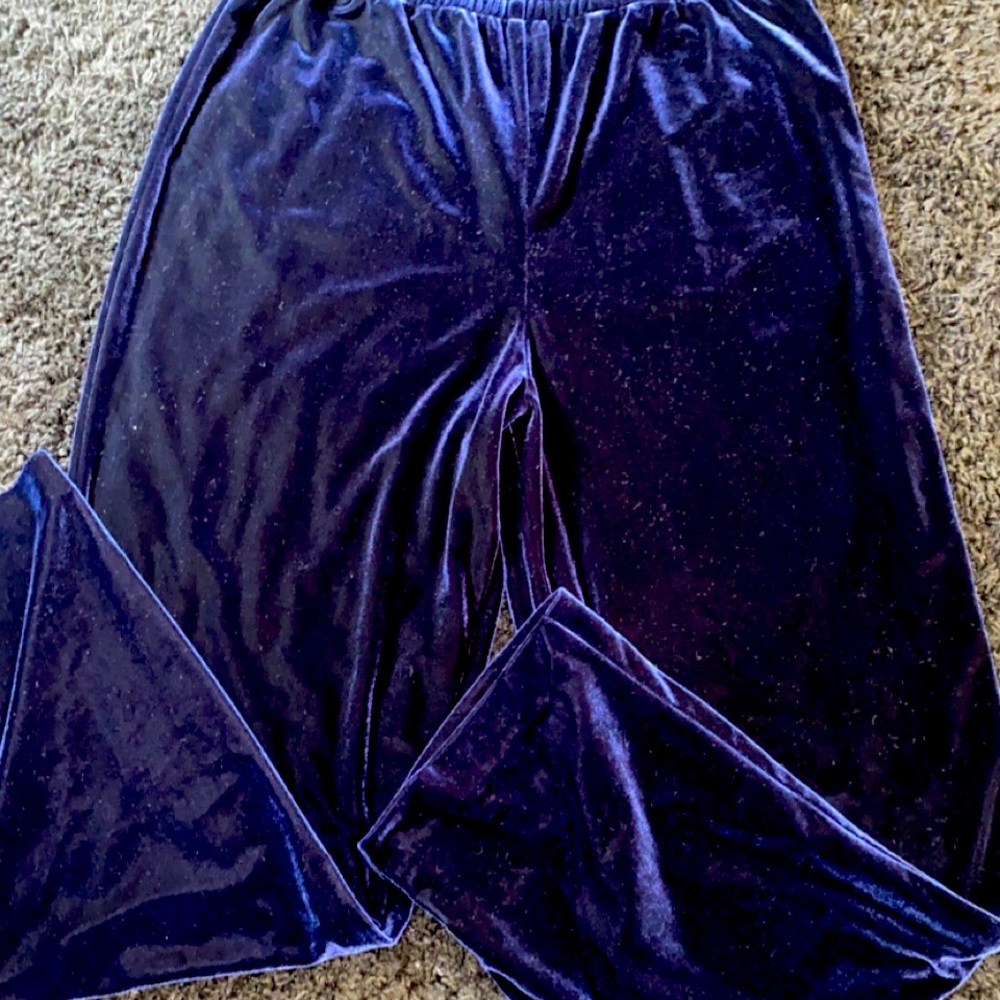 R&M RICHARDS Navy Blue Velvet Pants/Joggers Size 14